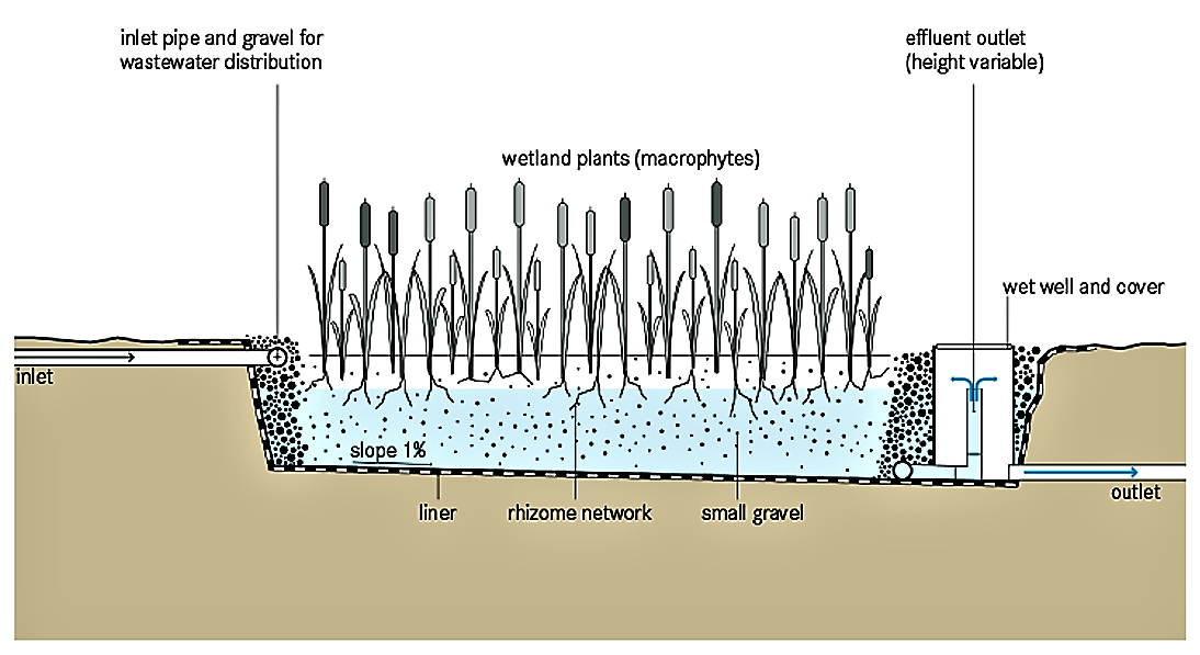 horizontal-subsurface-flow-constructed-wetland-sswm-find-tools-for